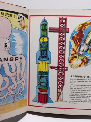 Stingray album 1966