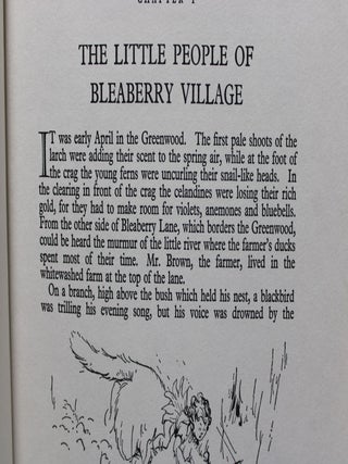 Bleaberry Village - More Tales of the Greenwood Elves