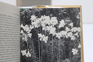 In Your Garden & In Your Garden Again (set of 2 books)