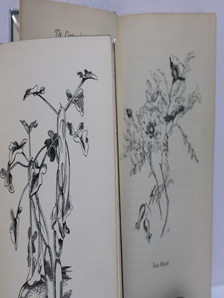The Curious Gardener / The Contemplative Gardener (set of 2 books)