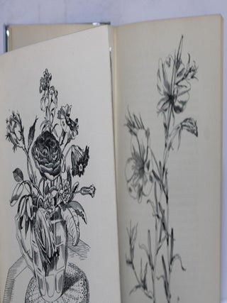 The Curious Gardener / The Contemplative Gardener (set of 2 books)