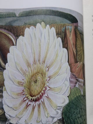 The Gardener's Album