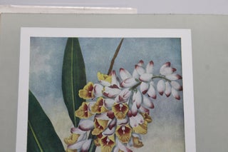 The Gardener's Album