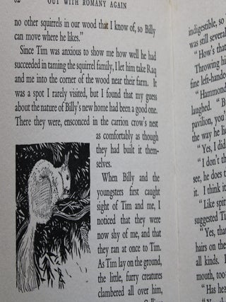 A Romany in the Fields and nine other books in the original 'Romany' series, set of 10 books