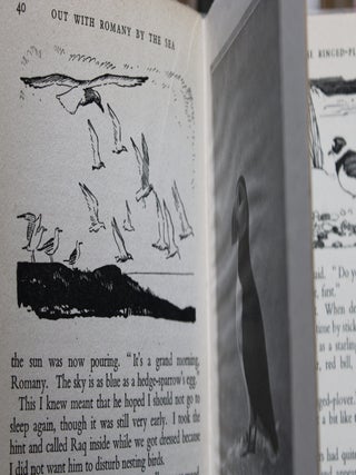 A Romany in the Fields and nine other books in the original 'Romany' series, set of 10 books