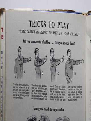 The Bobbsey Twins Annual 1956