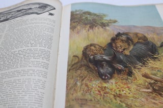 The Boy's Own Annual (Forty-Second Annual) (1919-1920) (Volume XLII)