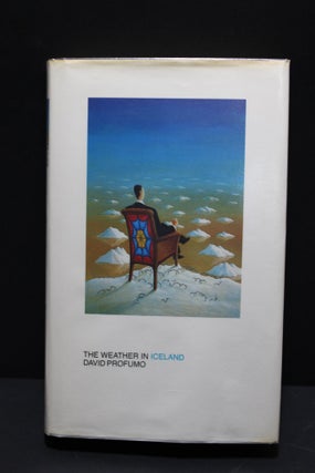 Item # 2403728 The Weather in Iceland. David Profumo